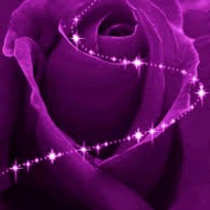 Meet your Posher, Dalia